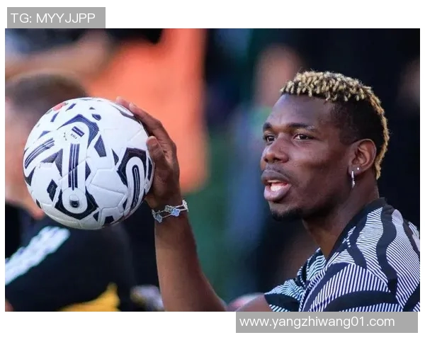 麦卡利斯特的传奇旅程与不凡成就揭示了体育界的无限可能性